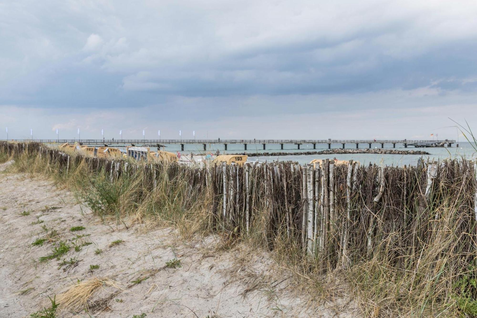 Treibholz - Feriendomizil Ostsee Schonberger Strand Dış mekan fotoğraf